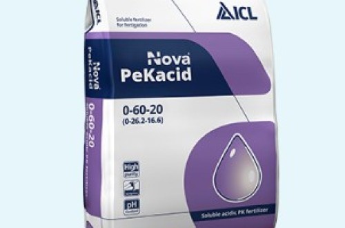 PeKacid Advisor, la solución de ICL para una fertirrigación más eficiente y sin obstrucciones