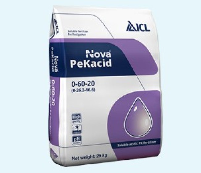 PeKacid Advisor, la solución de ICL para una fertirrigación más eficiente y sin obstrucciones