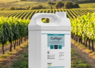 Selectis Agro lanza Cultigo, un nuevo fúngica para controlar el oídio