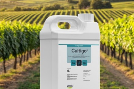 Selectis Agro lanza Cultigo, un nuevo fúngica para controlar el oídio