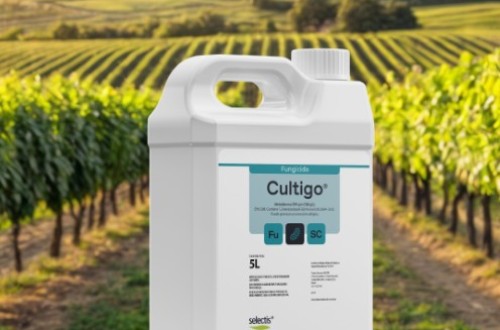 Selectis Agro lanza Cultigo, un nuevo fúngica para controlar el oídio