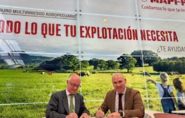 Mapfre y Rfeagas firman un acuerdo para ofrecer coberturas a los ganaderos españoles