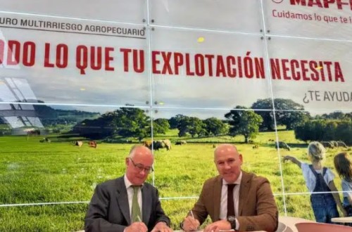 Mapfre y Rfeagas firman un acuerdo para ofrecer coberturas a los ganaderos españoles