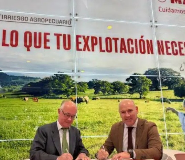 Mapfre y Rfeagas firman un acuerdo para ofrecer coberturas a los ganaderos españoles