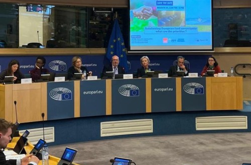 Fepex expone en el PE que la reforma de los precios de entrada es una prioridad para reforzar la soberanía alimentaria