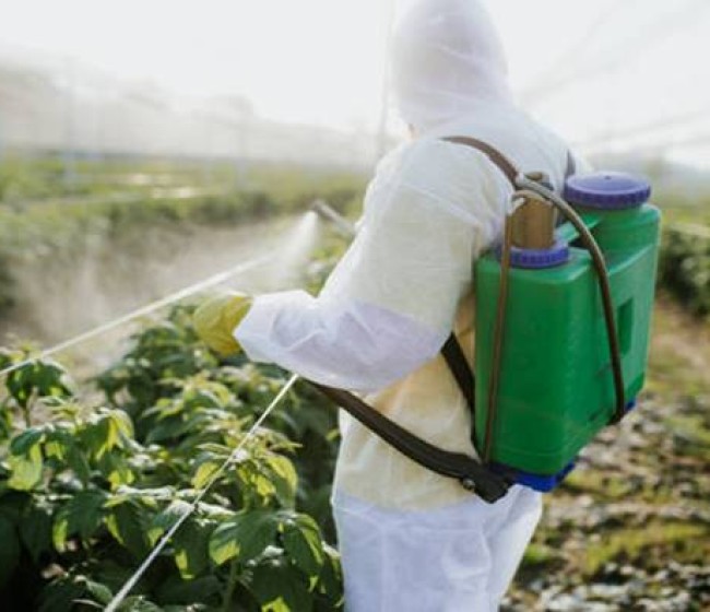 Infoagro Exhibition 2025, el escaparate de las soluciones más innovadoras en sanidad vegetal