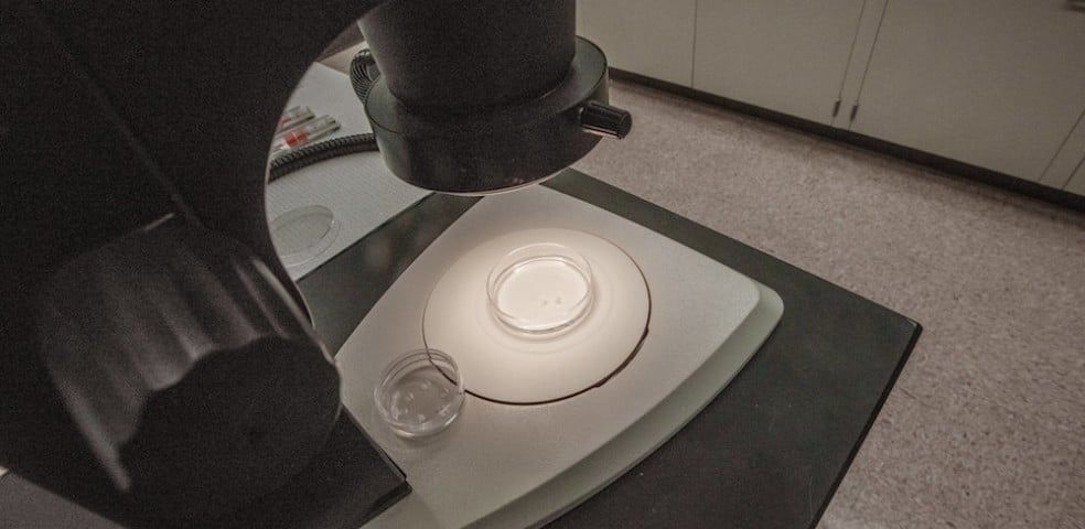 nuevas_tecnicas_genomicas_ntg