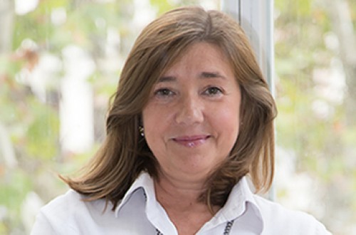 Paso crucial para la edición genética
