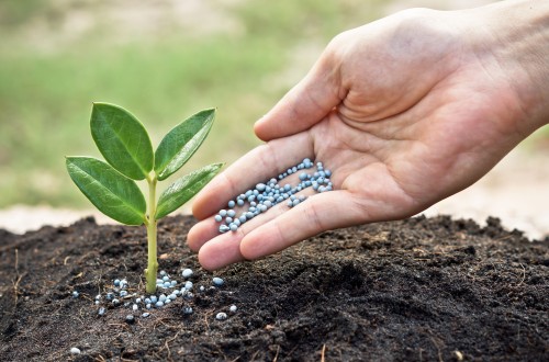 La UNIÓ denuncia la subida del precio los fertilizantes nitrogenados, un 12% en 2024