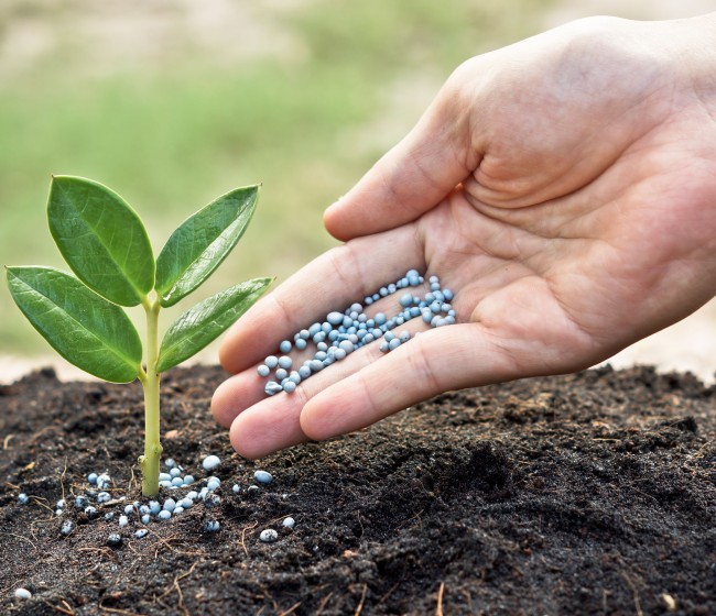 La UNIÓ denuncia la subida del precio los fertilizantes nitrogenados, un 12% en 2024