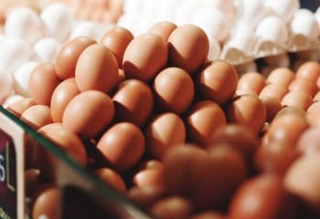 Menor aumento del precio de los huevos de la UE en el último año