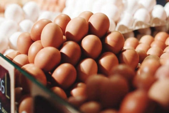 Menor aumento del precio de los huevos de la UE en el último año
