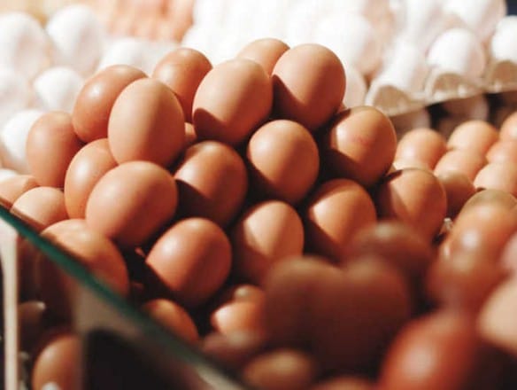 Menor aumento del precio de los huevos de la UE en el último año
