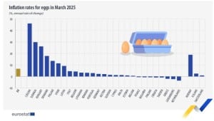 Precios_huevos