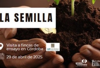 Los campos de ensayo de Córdoba insisten que la mejora genética es clave frente al cambio climático