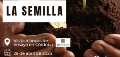 Los campos de ensayo de Córdoba insisten que la mejora genética es clave frente al cambio climático