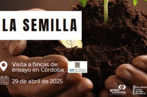 Los campos de ensayo de Córdoba insisten que la mejora genética es clave frente al cambio climático