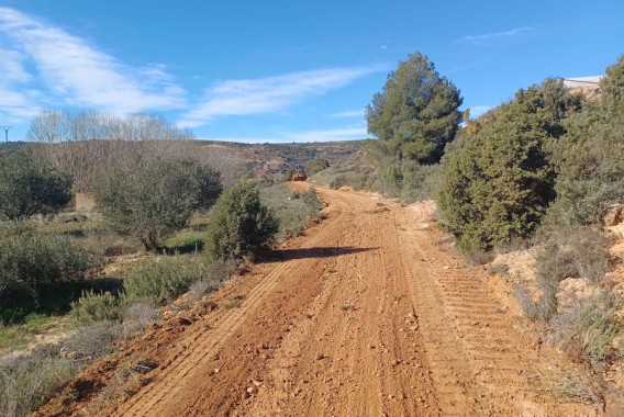 Este jueves entra en vigor la nueva orden con ayudas para las explotaciones dañadas por la dana