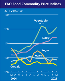 fao_precios_alimentos