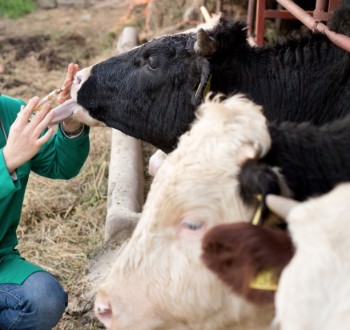 Aprobada la voluntariedad de que las explotaciones ganaderas dispongan de un veterinario y de un plan sanitario integral