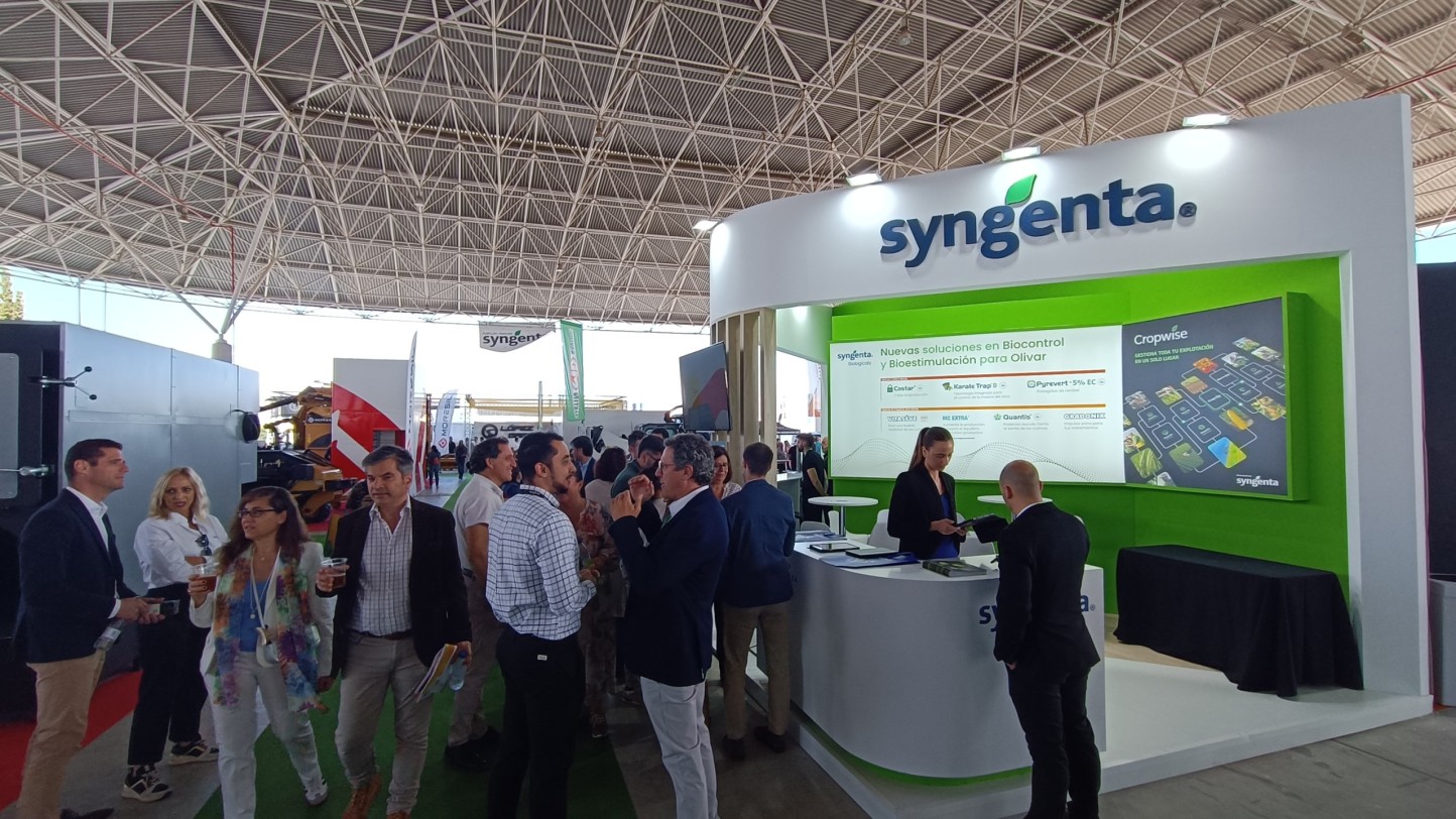 Syngenta presenta en Expoliva 2025 Quantis, un bioestimulante que promueve un escudo antiestrés en el olivar