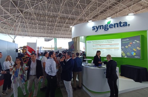 Syngenta presenta en Expoliva 2025 Quantis, un bioestimulante que promueve un escudo antiestrés en el olivar