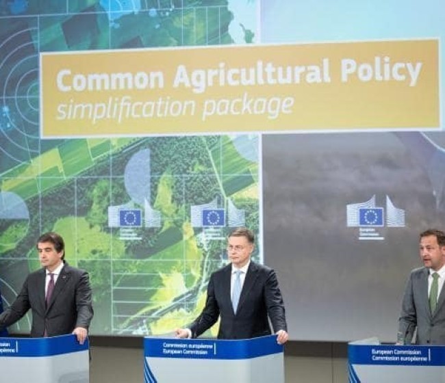 Nuevas medidas de simplificación de la PAC: facilitar los pagos a agricultores y controles ambientales simplificados