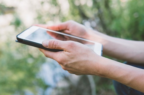 Tareo digital: el primer paso hacia una agricultura escalable, trazable y conectada
