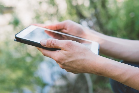 Tareo digital: el primer paso hacia una agricultura escalable, trazable y conectada