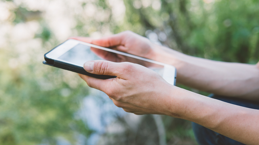 Tareo digital: el primer paso hacia una agricultura escalable, trazable y conectada