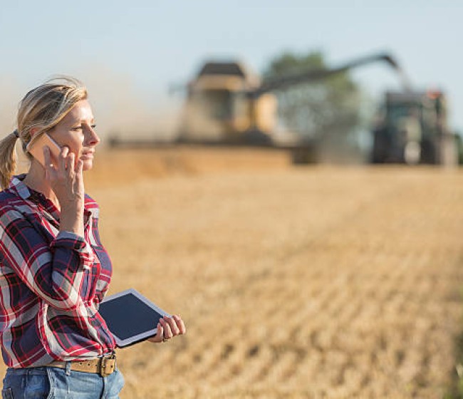 El Ministerio de Agricultura convoca ayudas por 46,5 millones para proyectos de innovación suprautonómicos