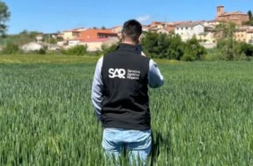El proyecto Ceres avanza en La Rioja con una app que detecta enfermedades del cereal hasta 10 días antes