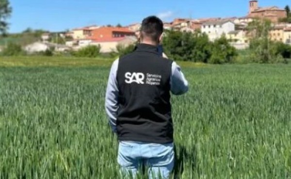 El proyecto Ceres avanza en La Rioja con una app que detecta enfermedades del cereal hasta 10 días antes