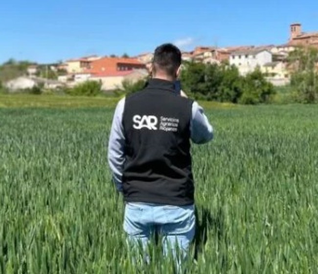 El proyecto Ceres avanza en La Rioja con una app que detecta enfermedades del cereal hasta 10 días antes