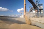 La UE registra en 2024 un superávit agrícola de 39.200 millones de euros