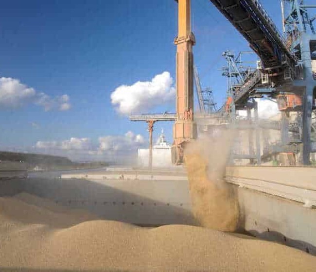 La UE registra en 2024 un superávit agrícola de 39.200 millones de euros