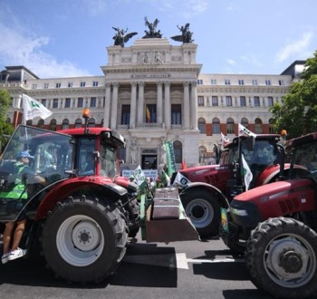 ¿Quién representa a quién en el campo?