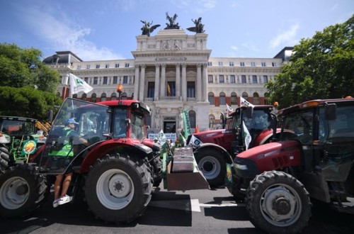 ¿Quién representa a quién en el campo?