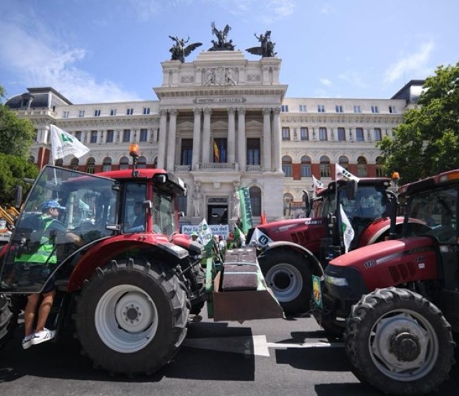 ¿Quién representa a quién en el campo?