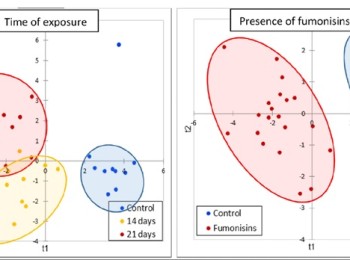 ¿Nuevos biomarcadores de exposición a fumonisinas en pollos?