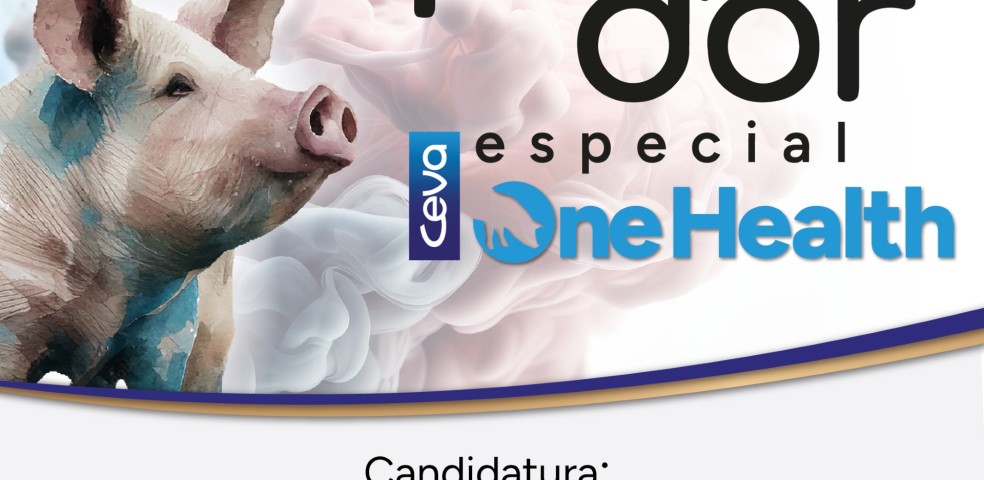 Ceva