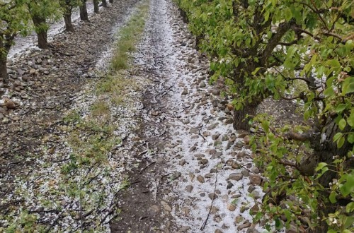 Las tormentas de mayo dañan al menos 80.000 hectáreas aseguradas en toda España