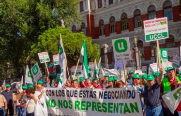 El Supremo anula las ayudas del Gobierno a Asaja, COAG y UPA por vulnerar el derecho a la igualdad y no discriminación