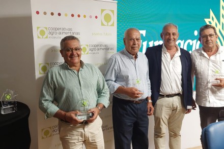 Las cooperativas agroalimentarias de Huelva alcanzan una facturación de 1.050 millones en 2024