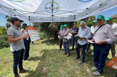 AVA-Asaja y Bayer presentan soluciones digitales y biológicas para afrontar los retos de la citricultura