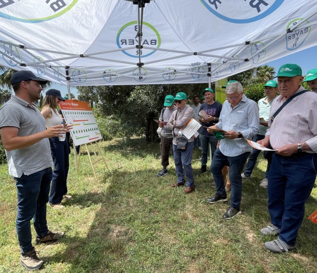 AVA-Asaja y Bayer presentan soluciones digitales y biológicas para afrontar los retos de la citricultura
