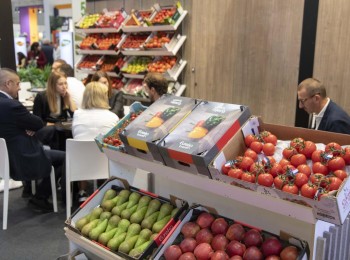 Fruit Attraction 2025 crece un 5% y prepara su edición con más de 2.500 empresas