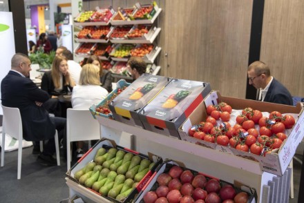 Fruit Attraction 2025 crece un 5% y prepara su edición con más de 2.500 empresas