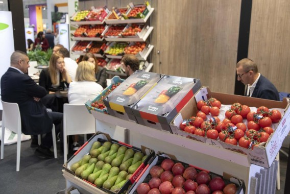 Fruit Attraction 2025 crece un 5% y prepara su edición con más de 2.500 empresas