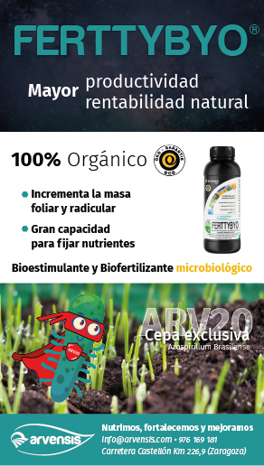 L1.ARVENSIS Junio